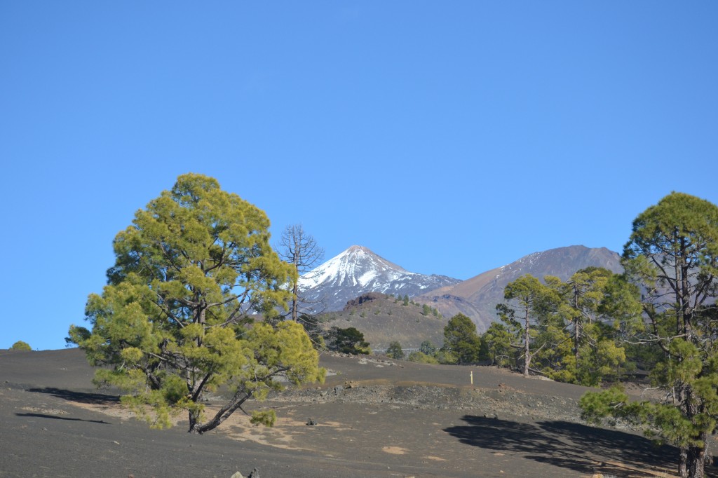 Teide tipp