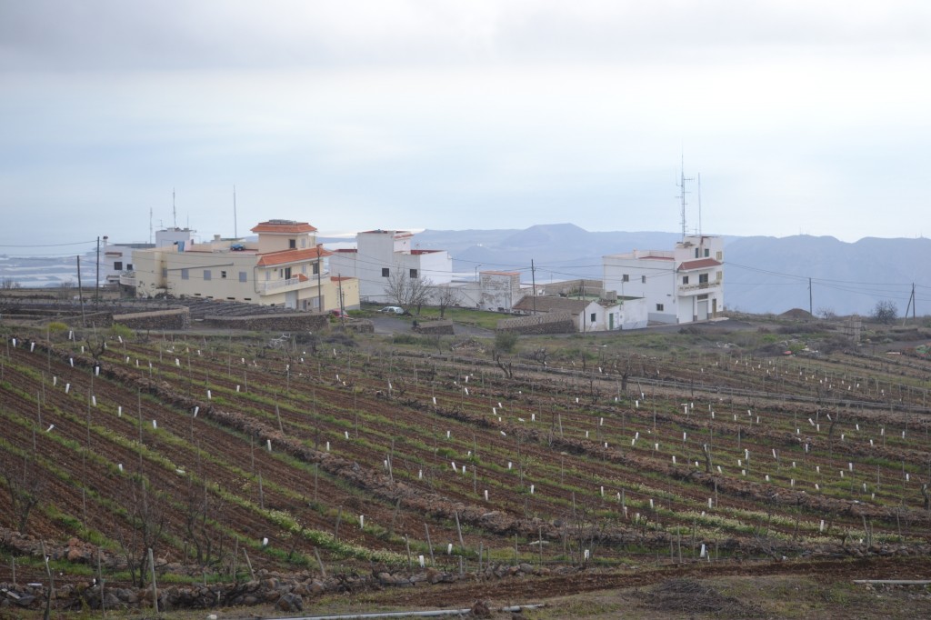 Tenerife mägikülad