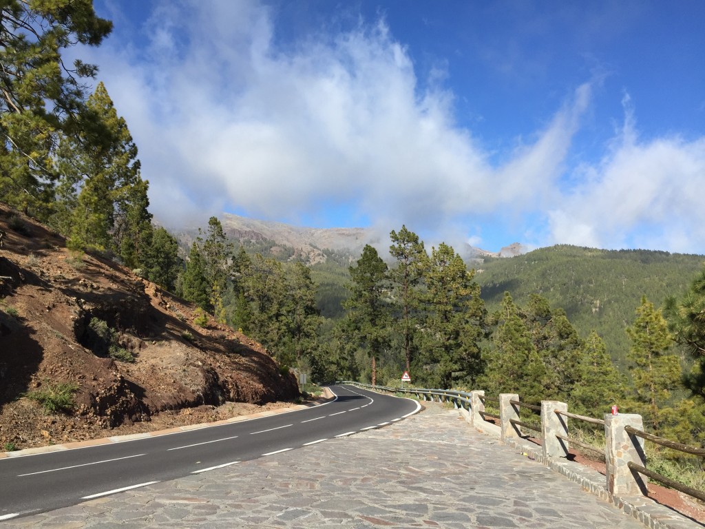 Teide teed