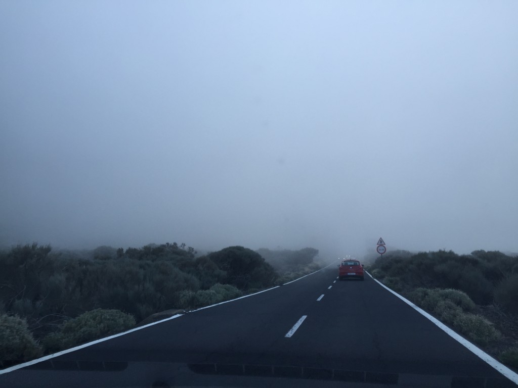 Udune teide
