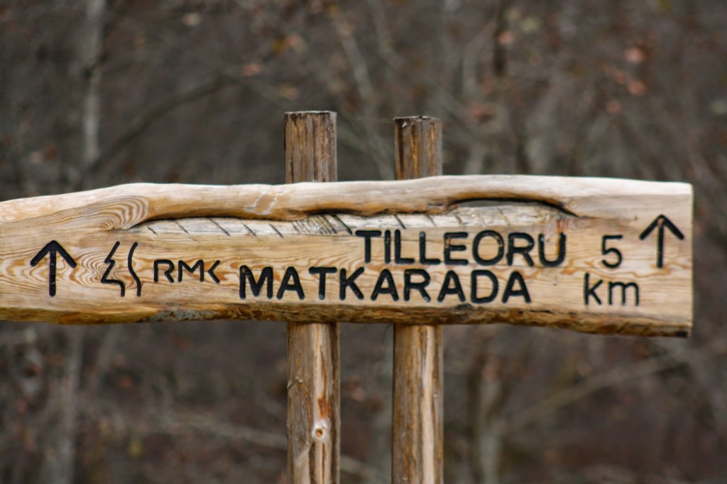 Tilleoru matkarada2