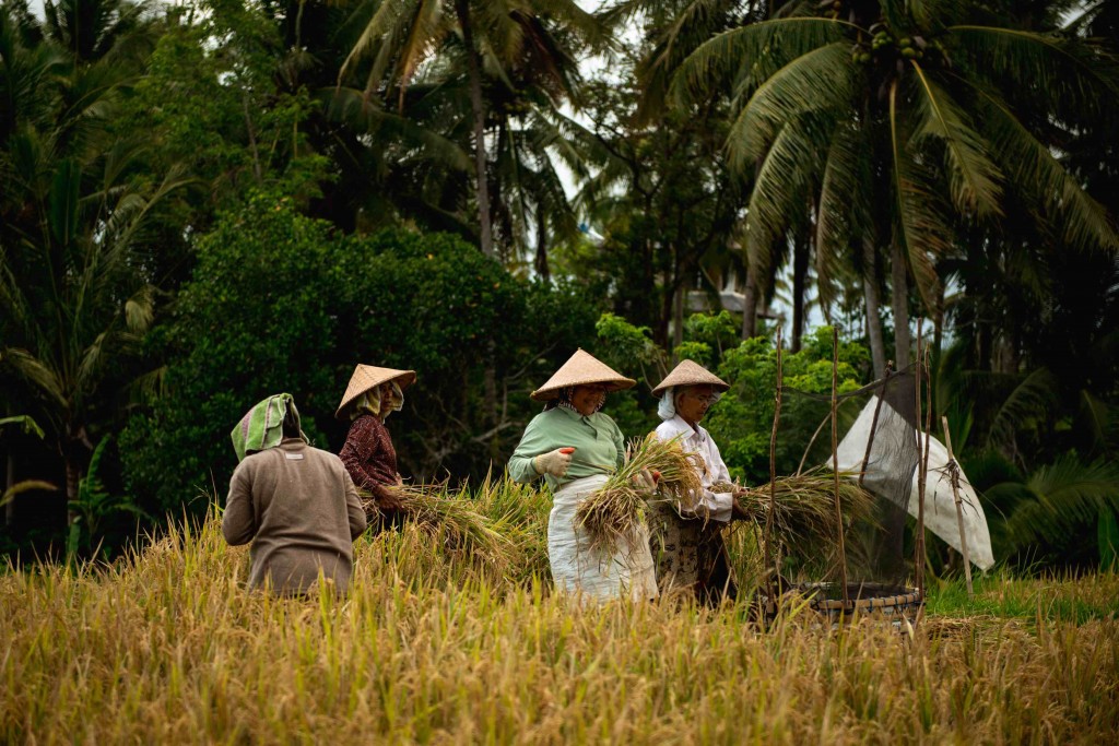 Bali saar Indoneesia 16