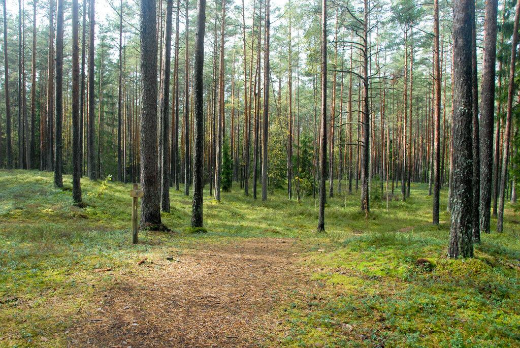 Kilingi-Nõmme matkarada