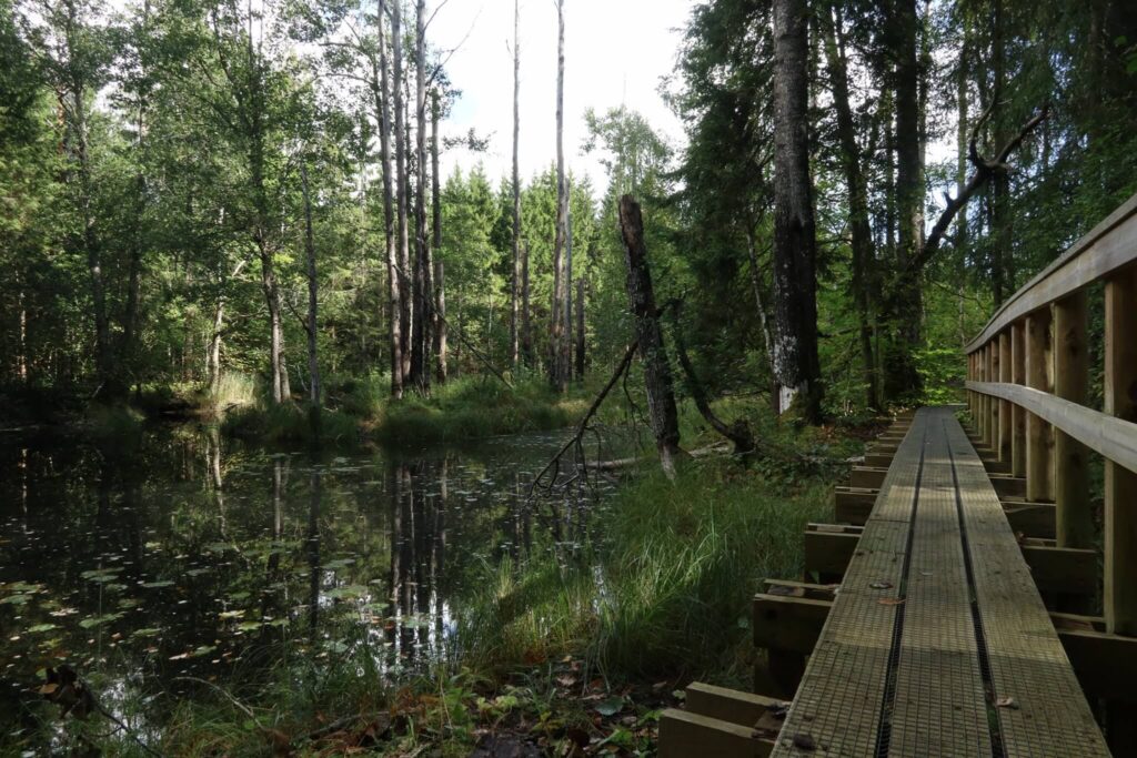 Koprarada Soomaa Rahvuspargis