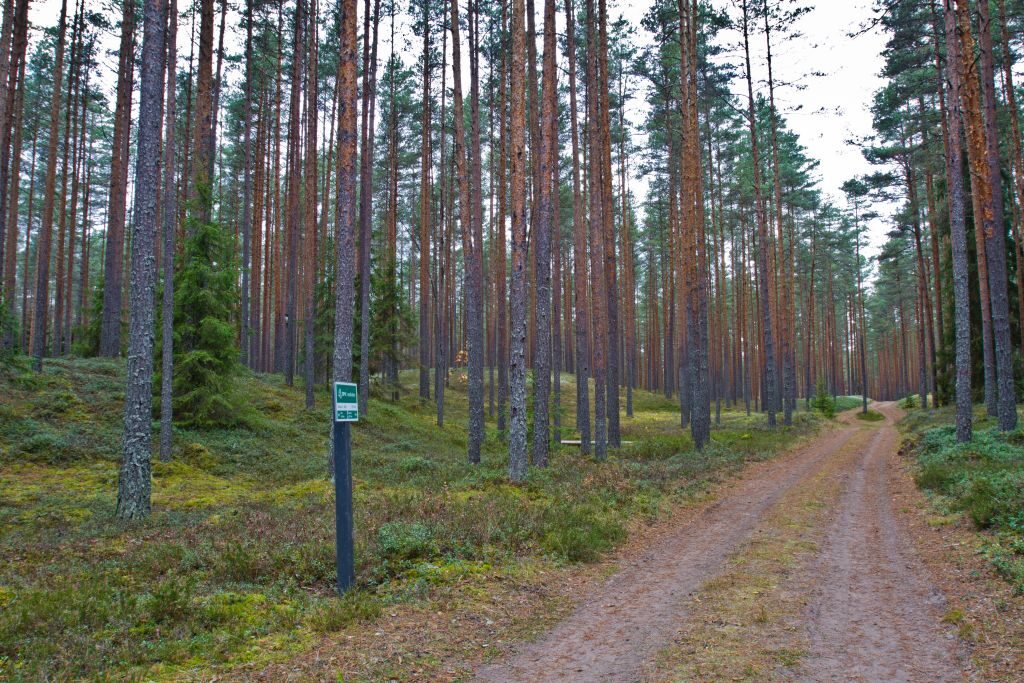 Luite matkarada