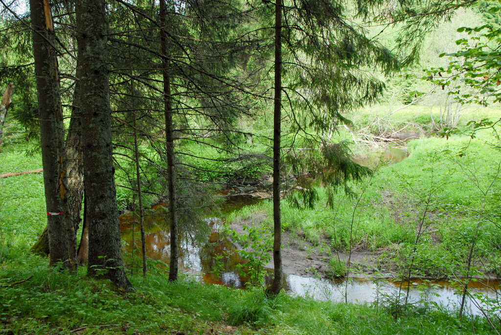 Saarjõe matkarada