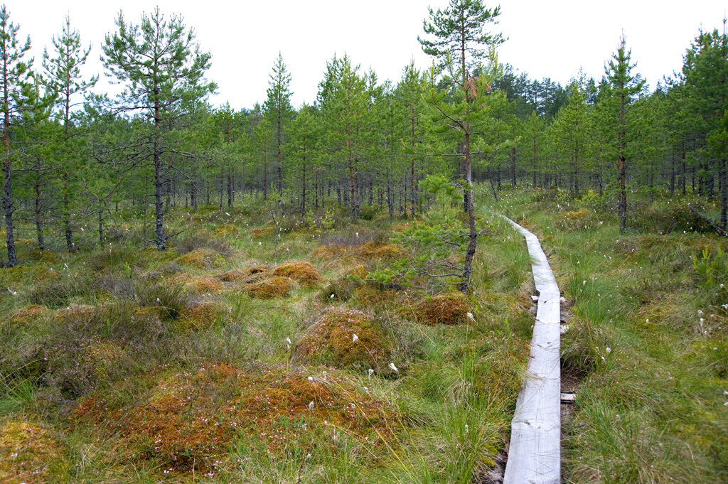Seljamäe matkarada