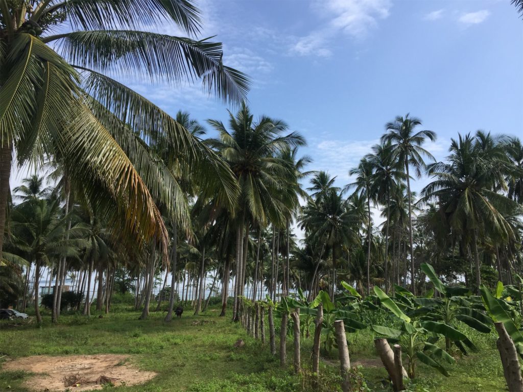 talveks taisse, koh samui, tai reis, puhkus tais, lastega taisse 12